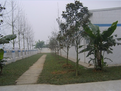廠(chǎng)區(qū)一角